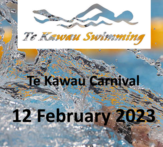 Te Kawau Carnival 